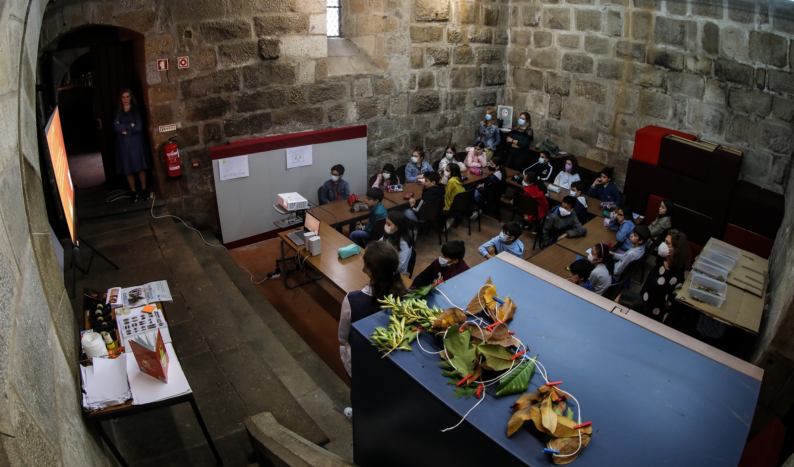 Imagem número 6 da galeria Dia Internacional das Plantas