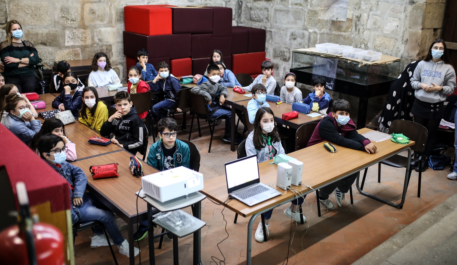 Imagem número 9 da galeria Dia Internacional das Plantas