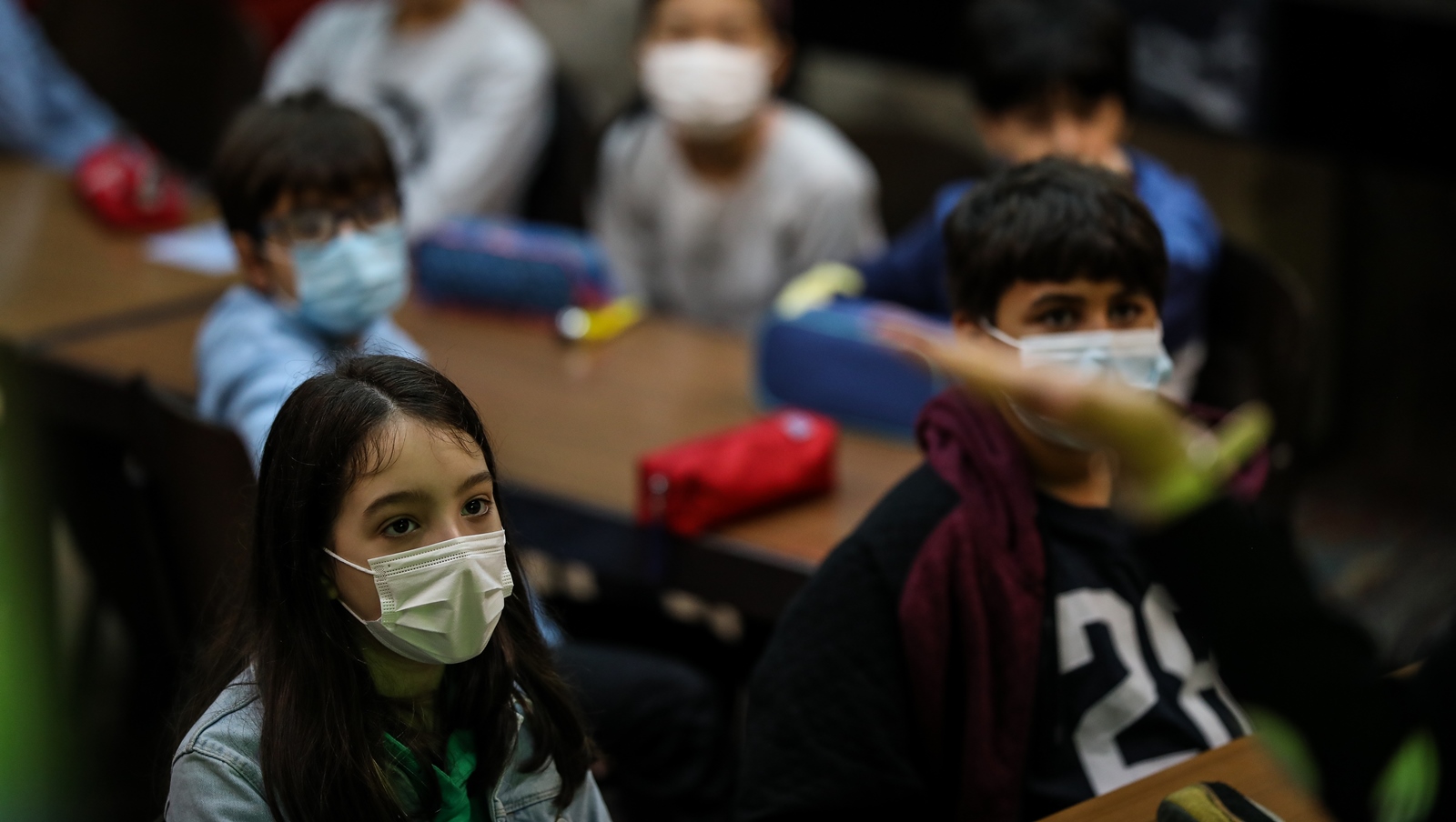 Imagem número 3 da galeria Dia Internacional das Plantas