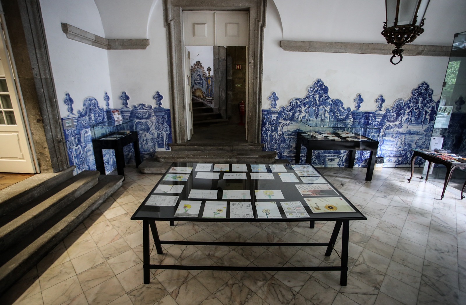 Imagem número 7 da galeria Dia Internacional das Plantas