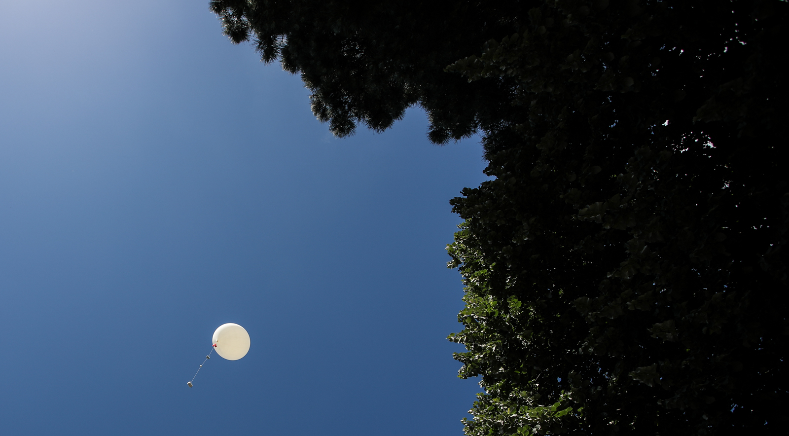 Imagem número 7 da galeria Lançamento Balão
