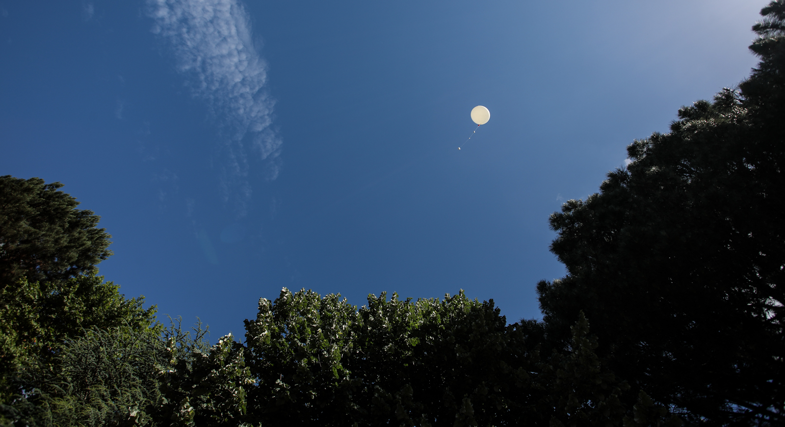 Imagem número 6 da galeria Lançamento Balão