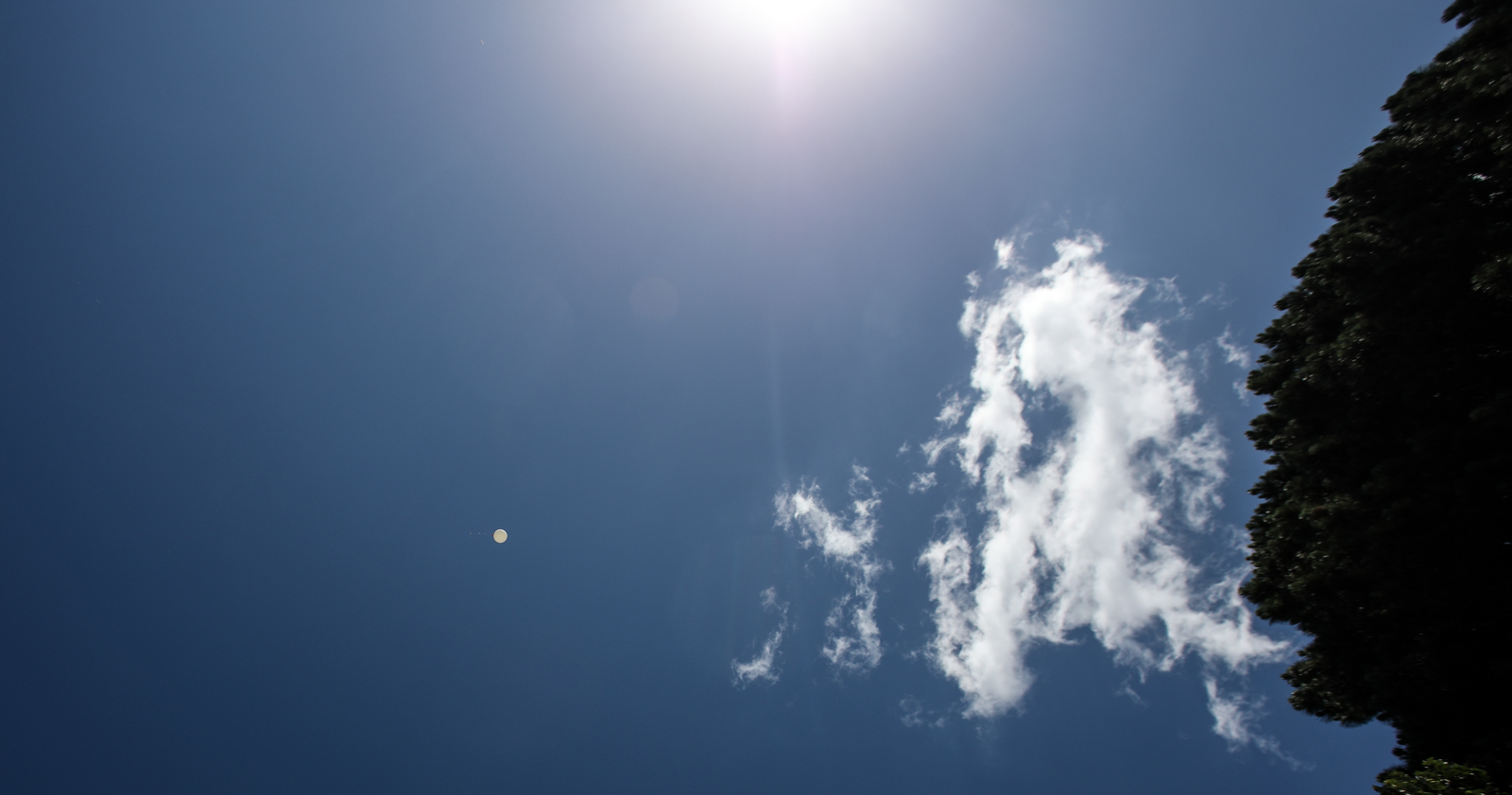 Imagem número 5 da galeria Lançamento Balão