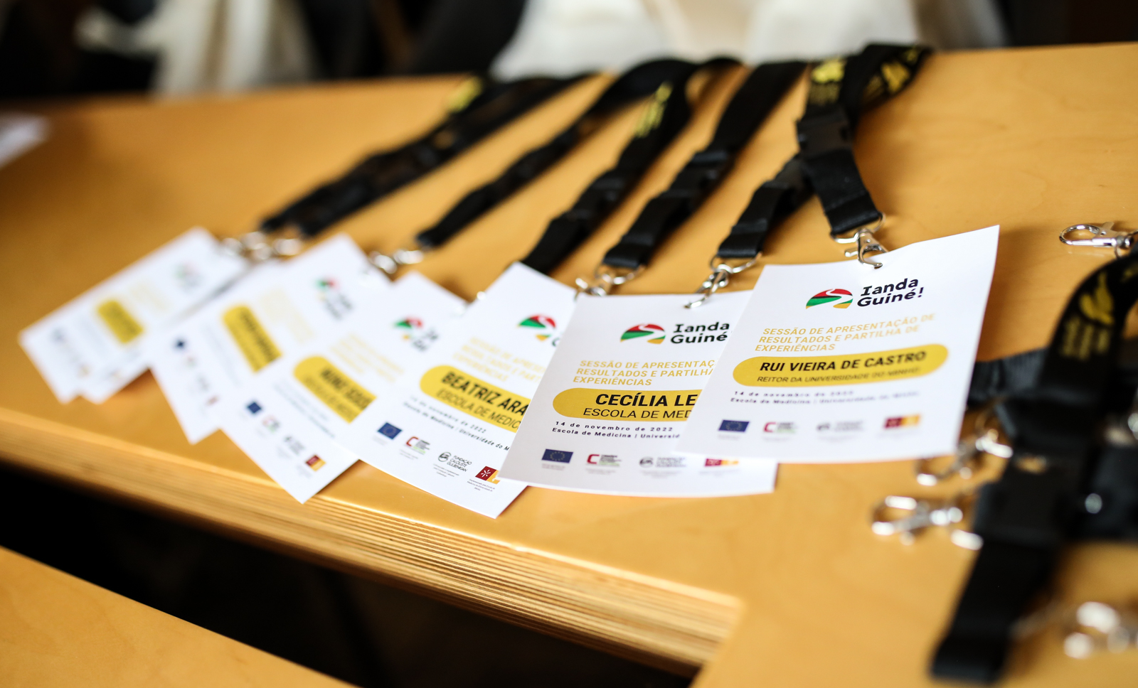 Imagem número 3 da galeria Projecto IANDA