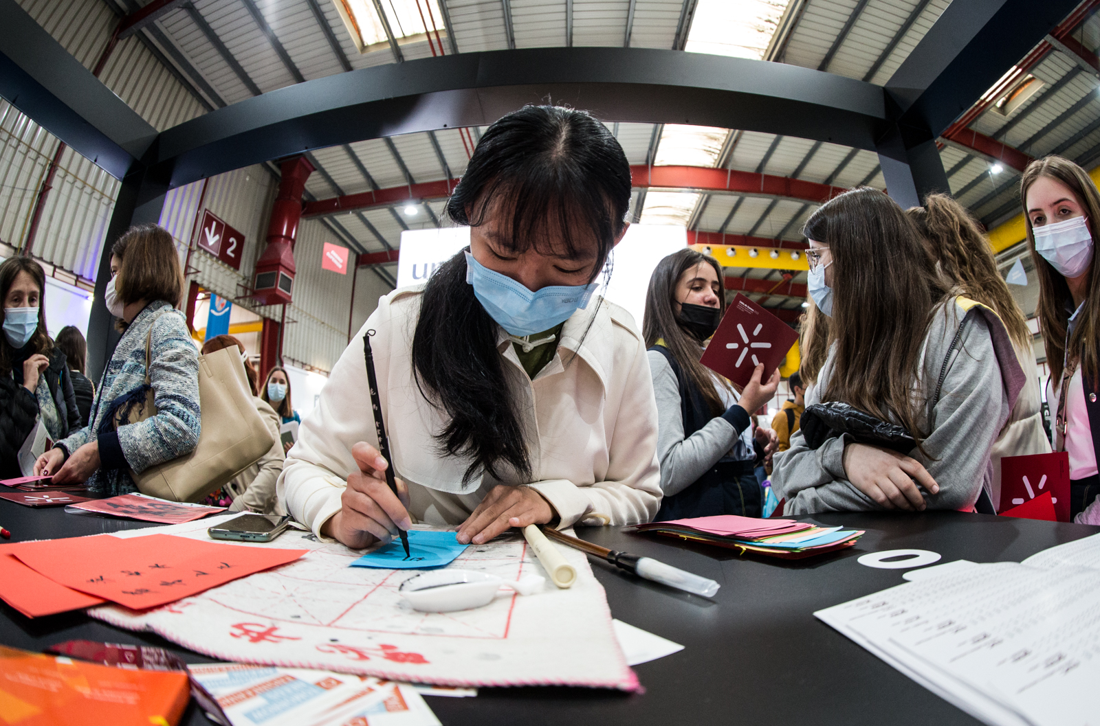 Imagem número 5 da galeria Qualifica