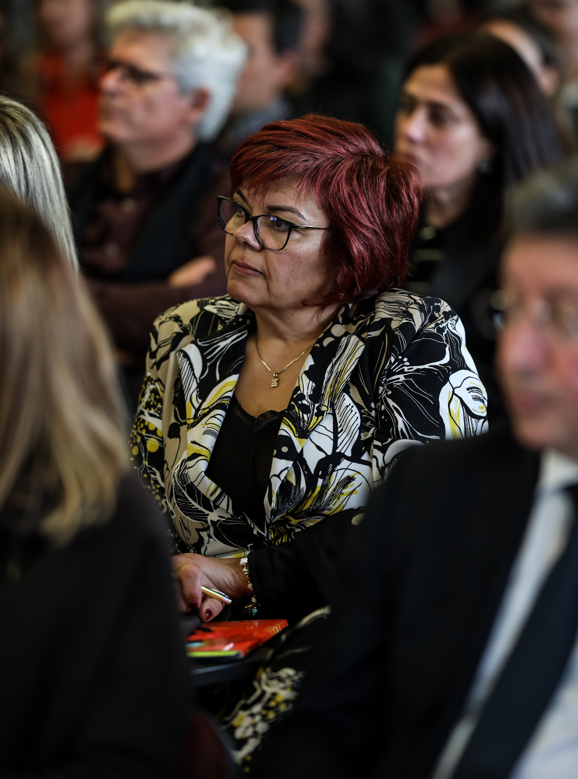 Imagem número 2 da galeria Reunião Agrupamentos e Municípios