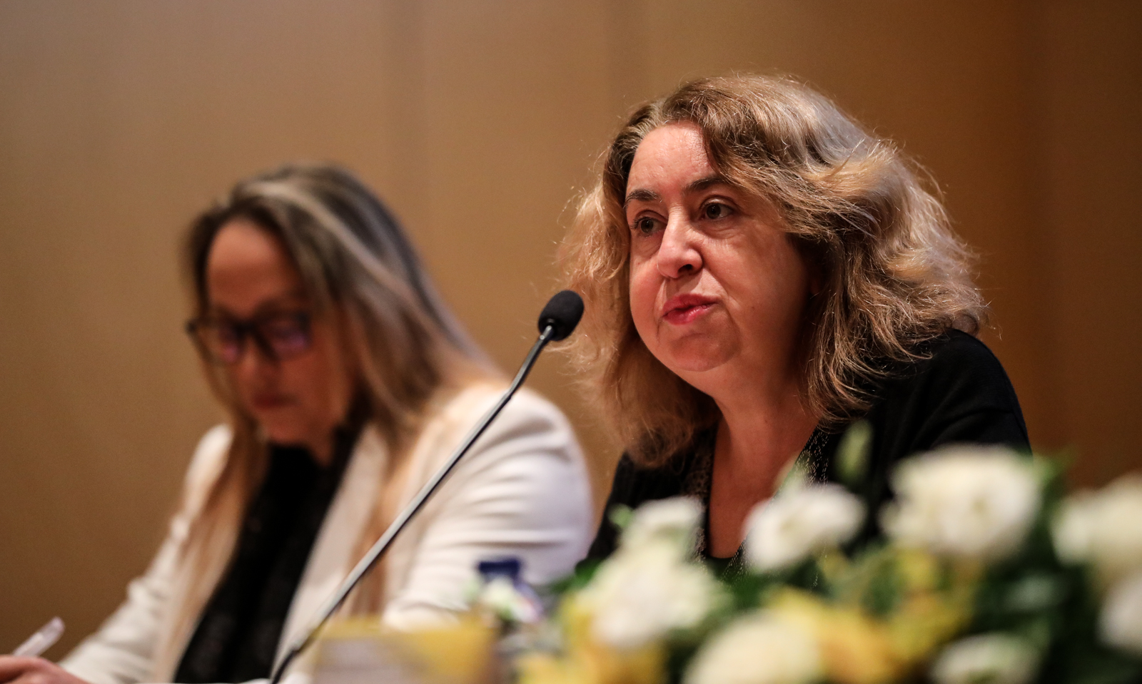 Imagem número 3 da galeria Observatório das Comunidades Ciganas