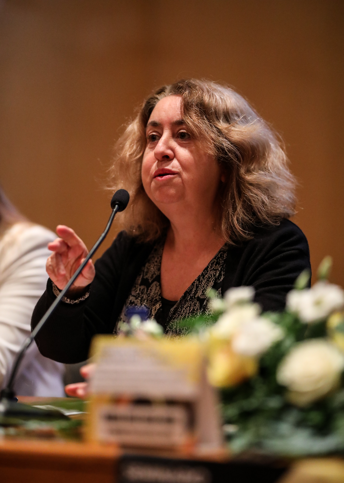 Imagem número 1 da galeria Observatório das Comunidades Ciganas