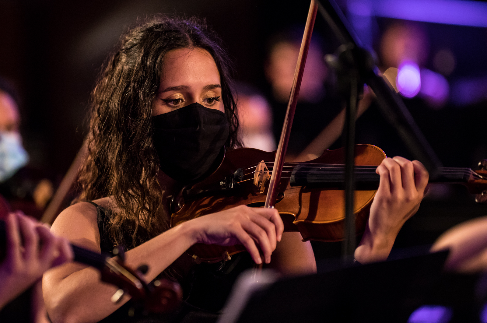 Imagem número 5 da galeria Concertos Enterro da Gata