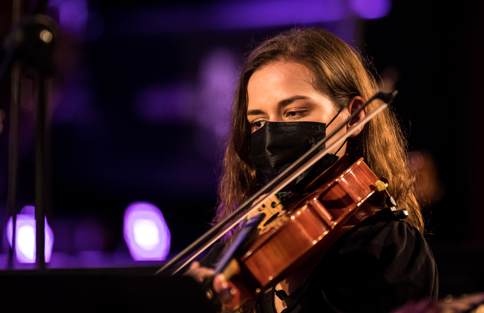 Imagem número 10 da galeria Concertos Enterro da Gata