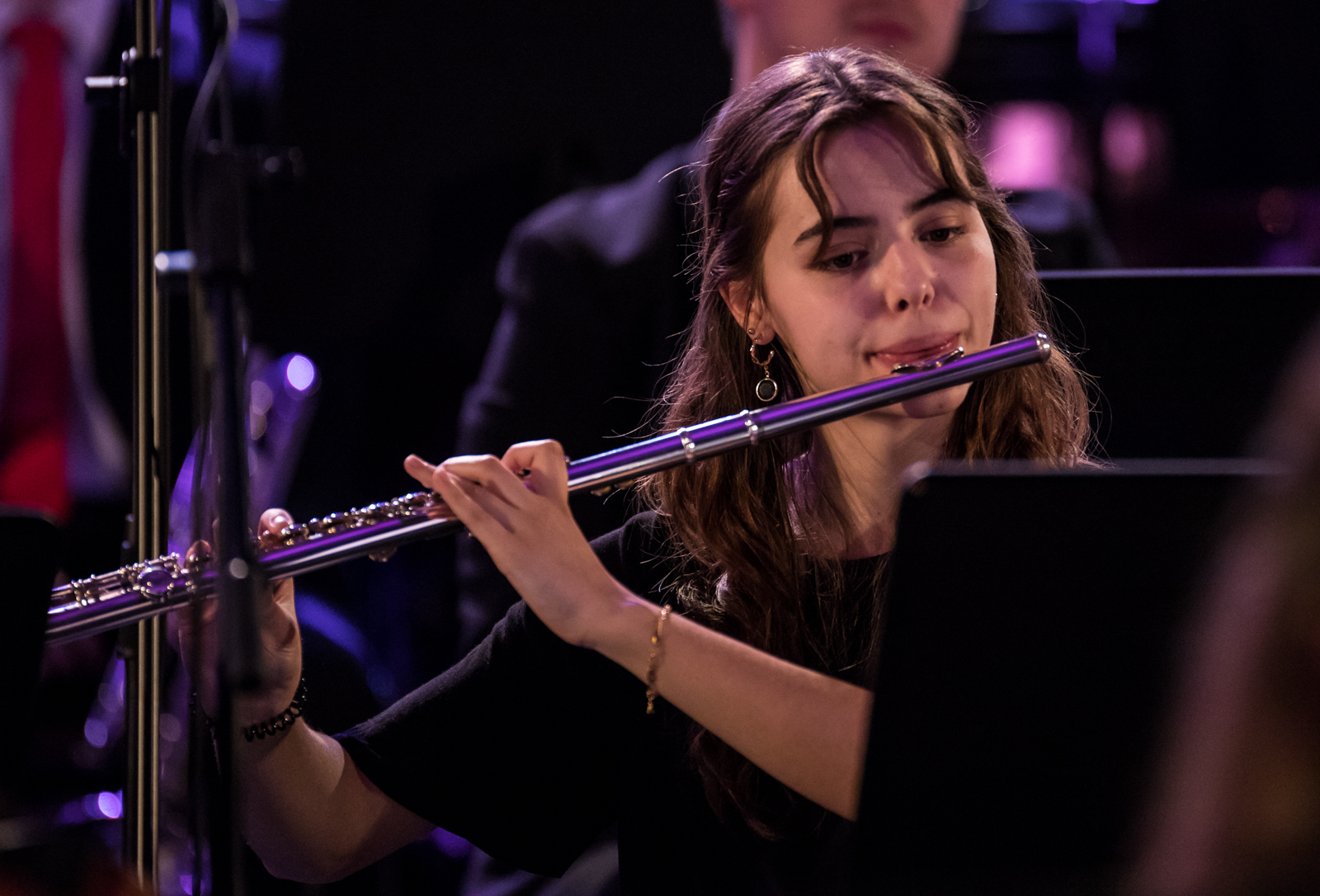 Imagem número 4 da galeria Concertos Enterro da Gata