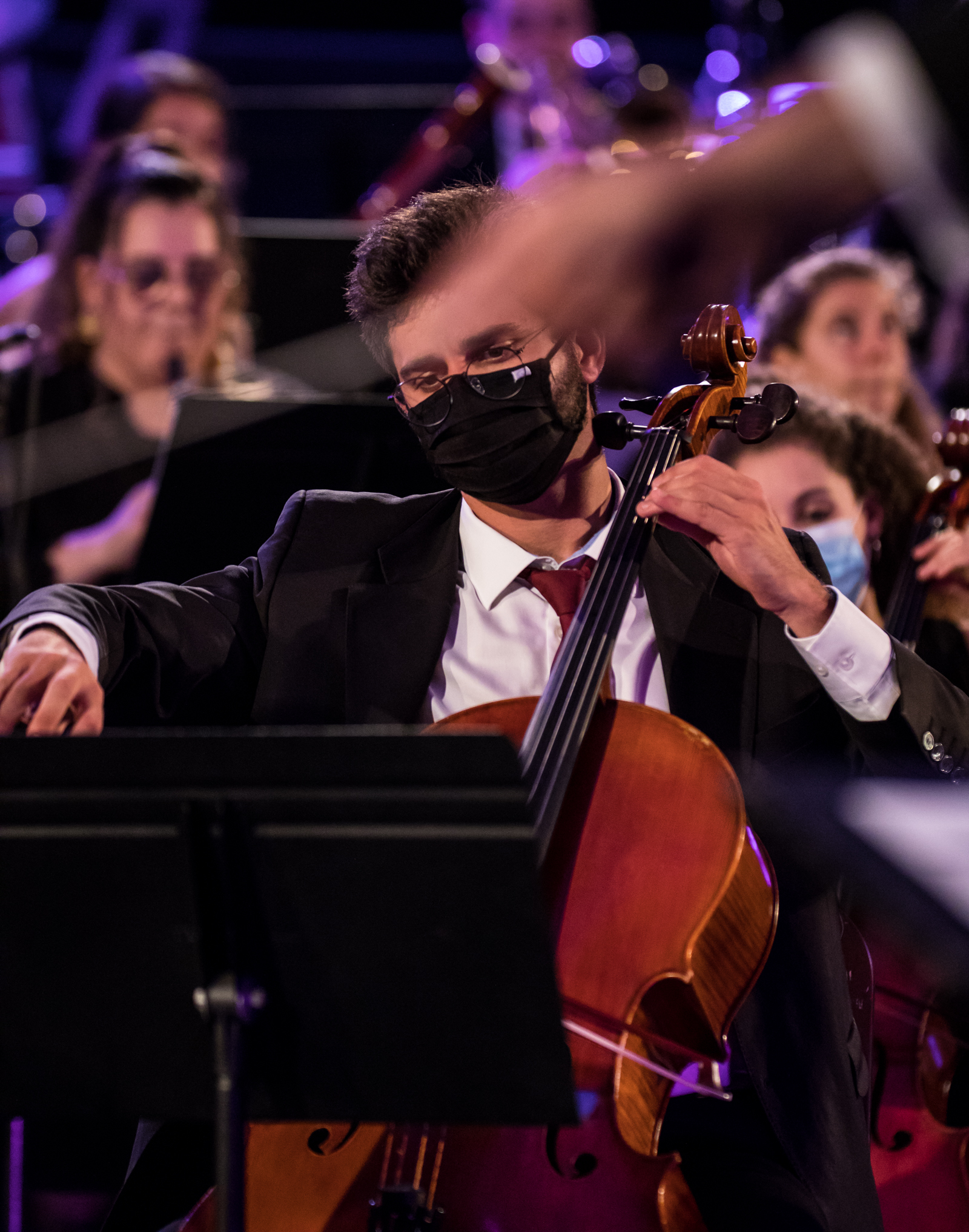 Imagem número 5 da galeria Concertos Enterro da Gata