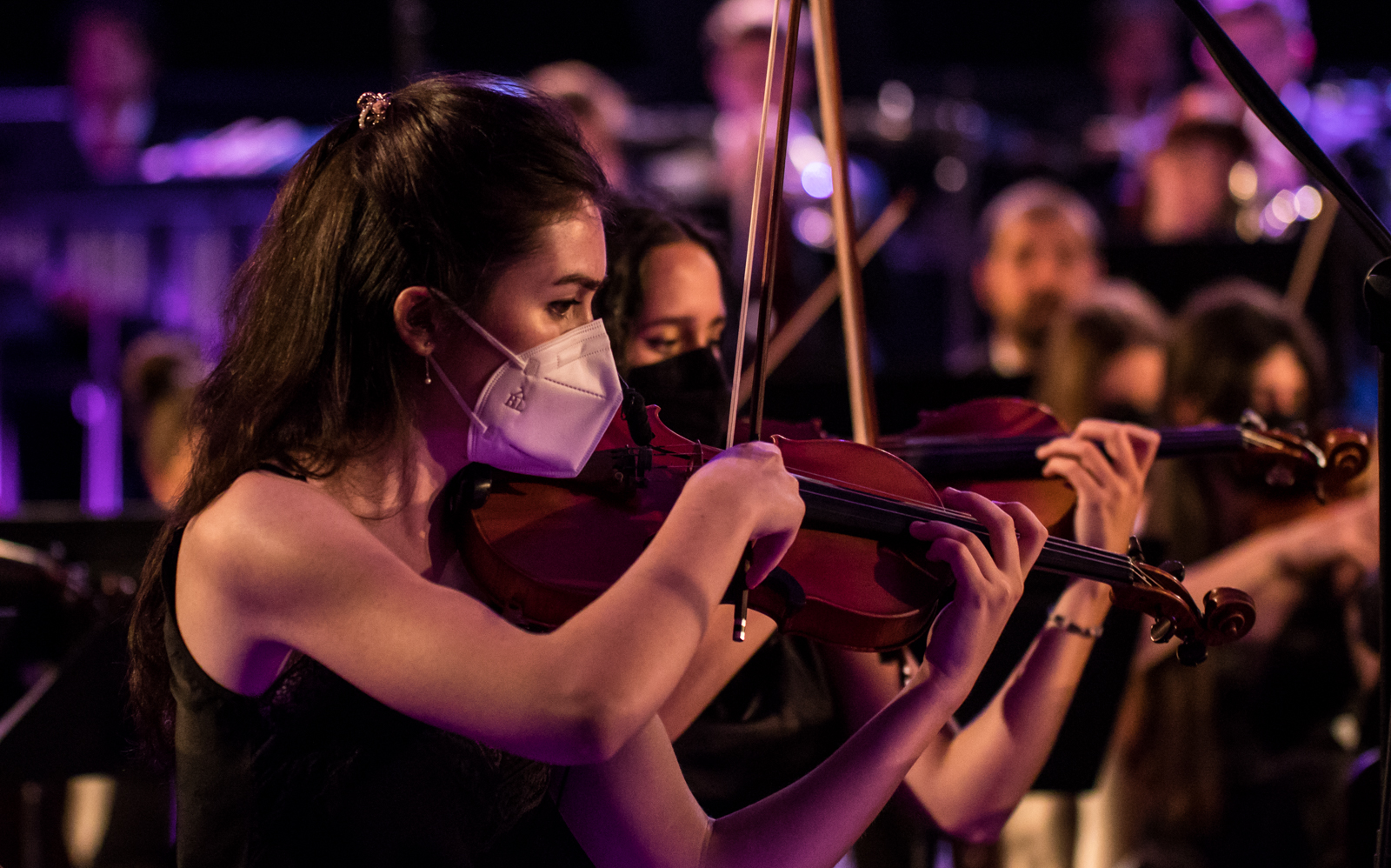 Imagem número 3 da galeria Concertos Enterro da Gata