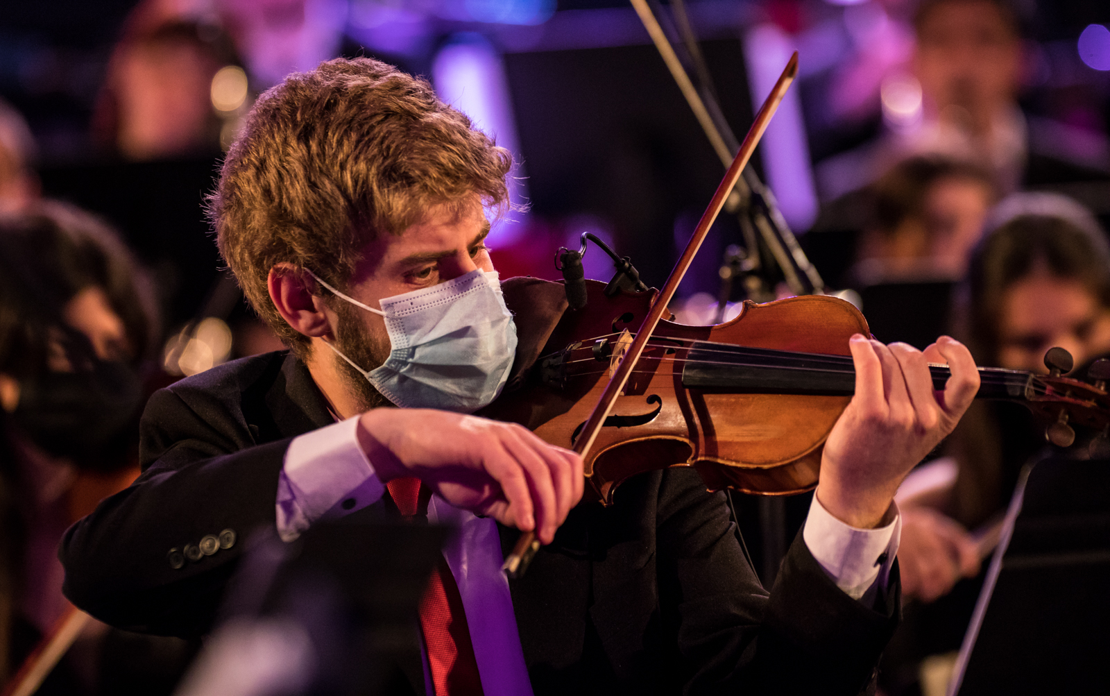 Imagem número 6 da galeria Concertos Enterro da Gata