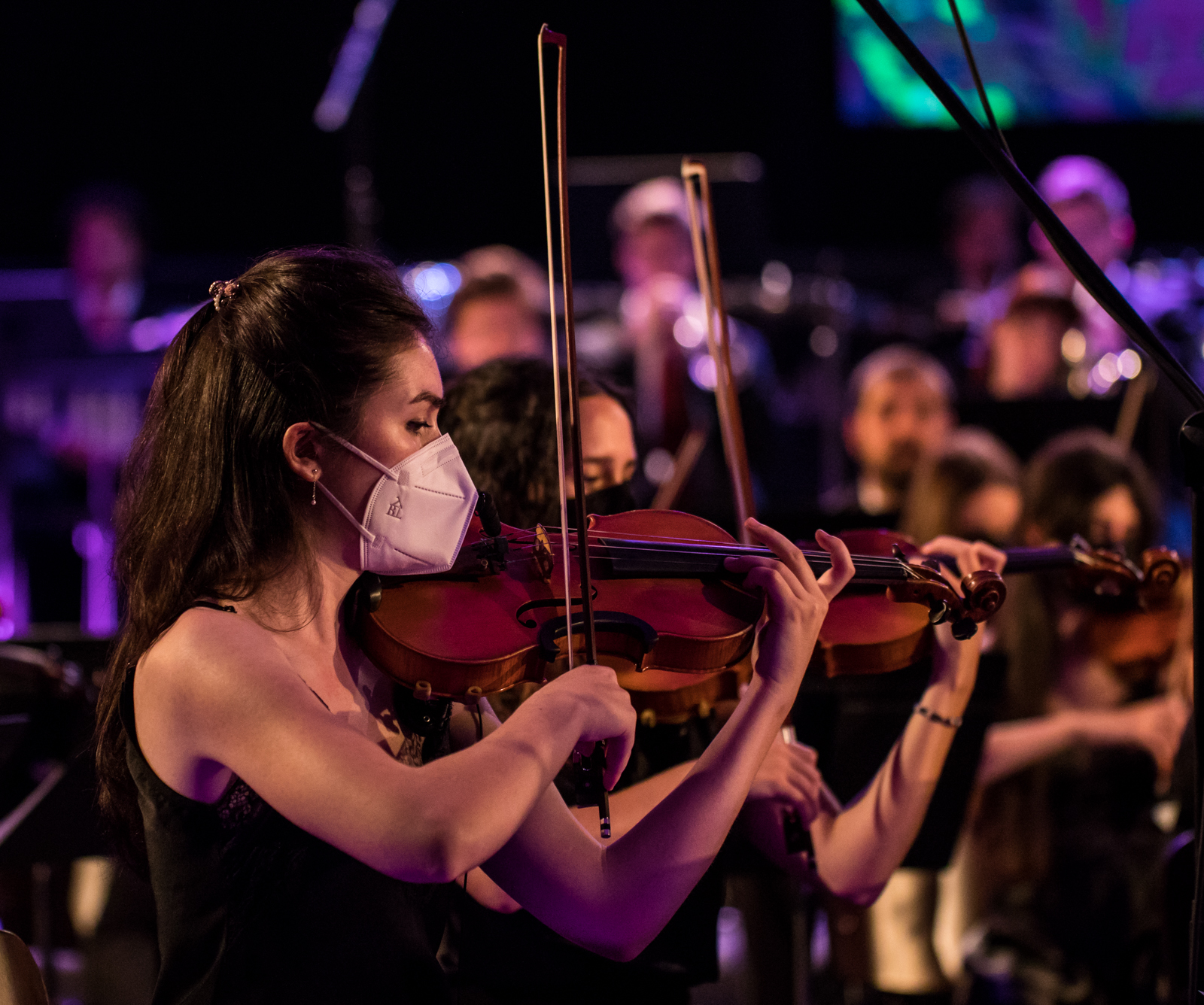 Imagem número 1 da galeria Concertos Enterro da Gata