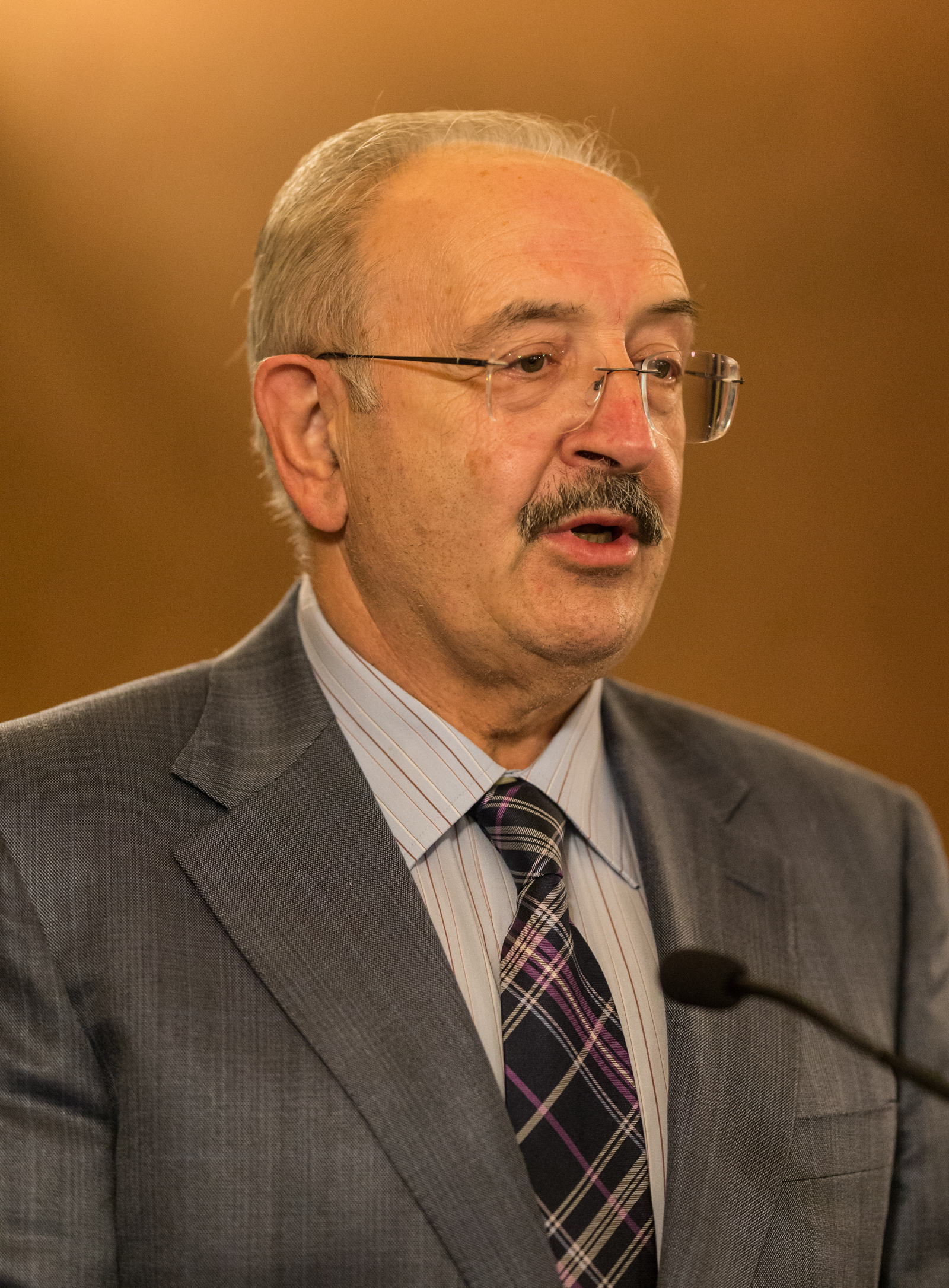 Imagem número 4 da galeria Apresentação do livro Crise do Liberalismo