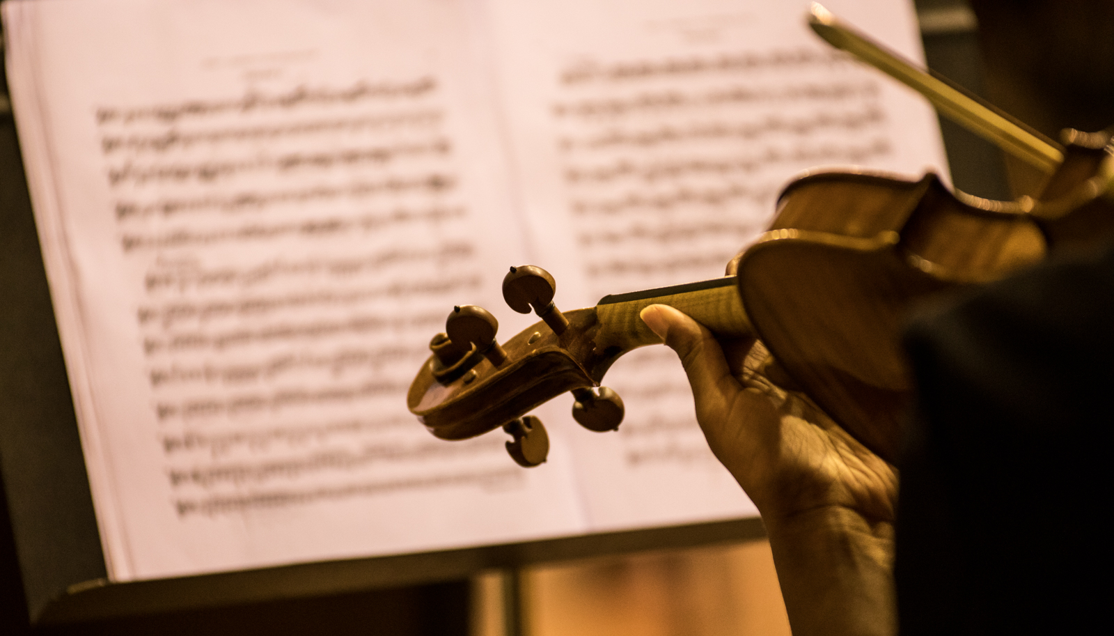 Imagem número 10 da galeria Concerto Natal Online 1