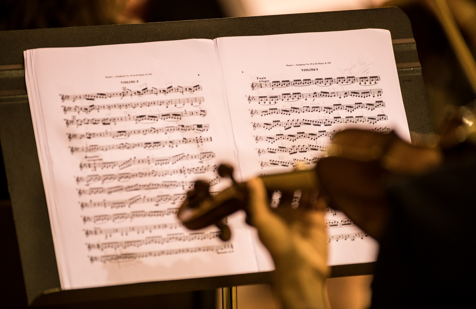 Imagem número 9 da galeria Concerto Natal Online 1