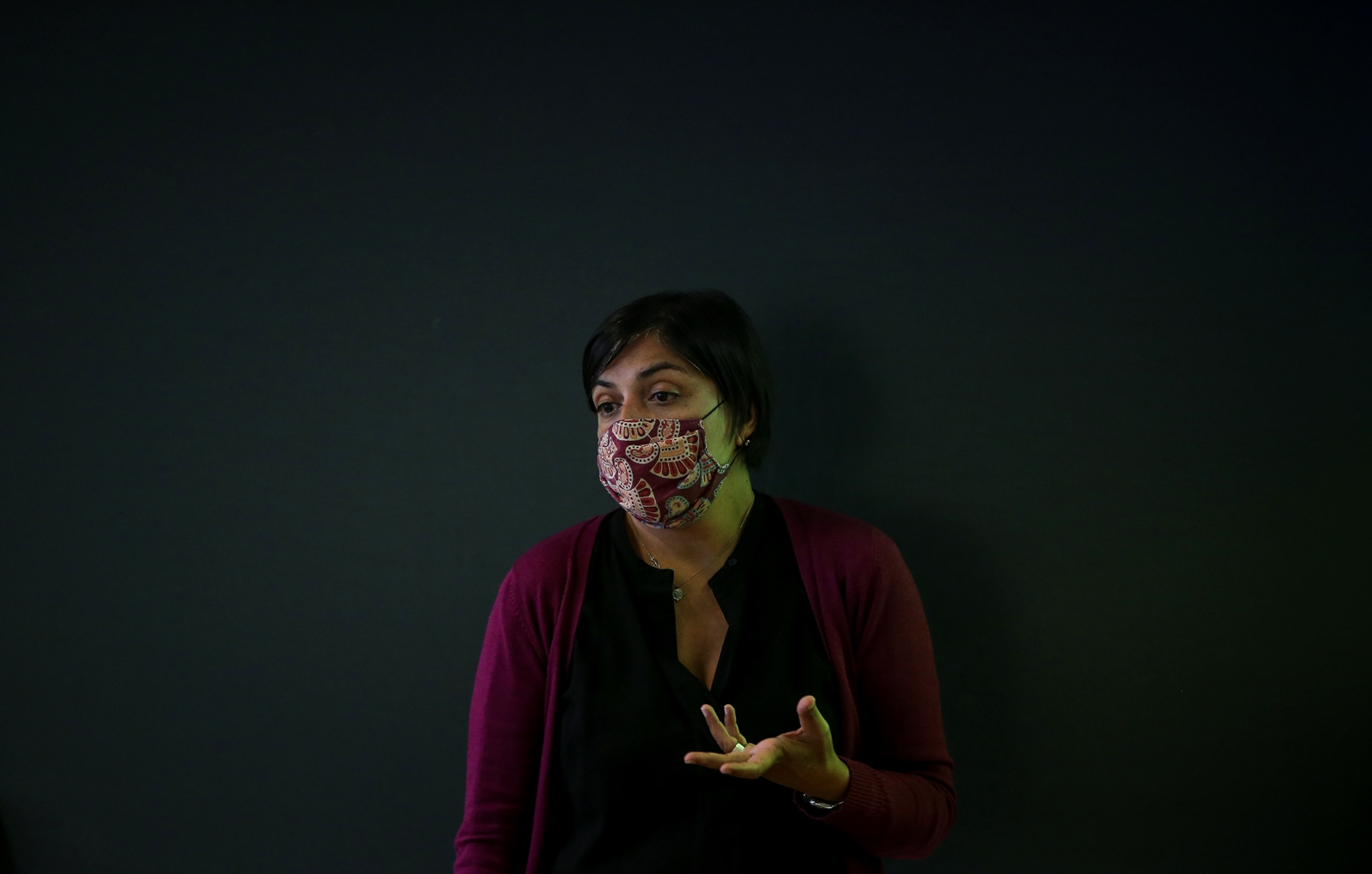 Imagem número 10 da galeria Apresentação Mestrados e Licenciaturas EEG