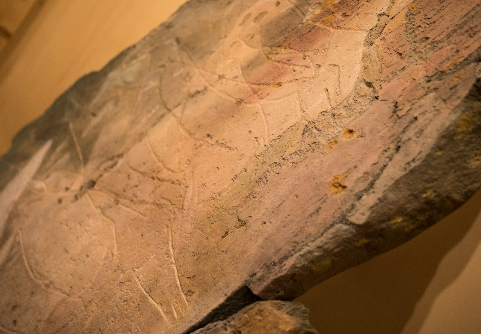 Imagem número 8 da galeria Inauguração Exposição 20(1000) anos do Vale do Coa