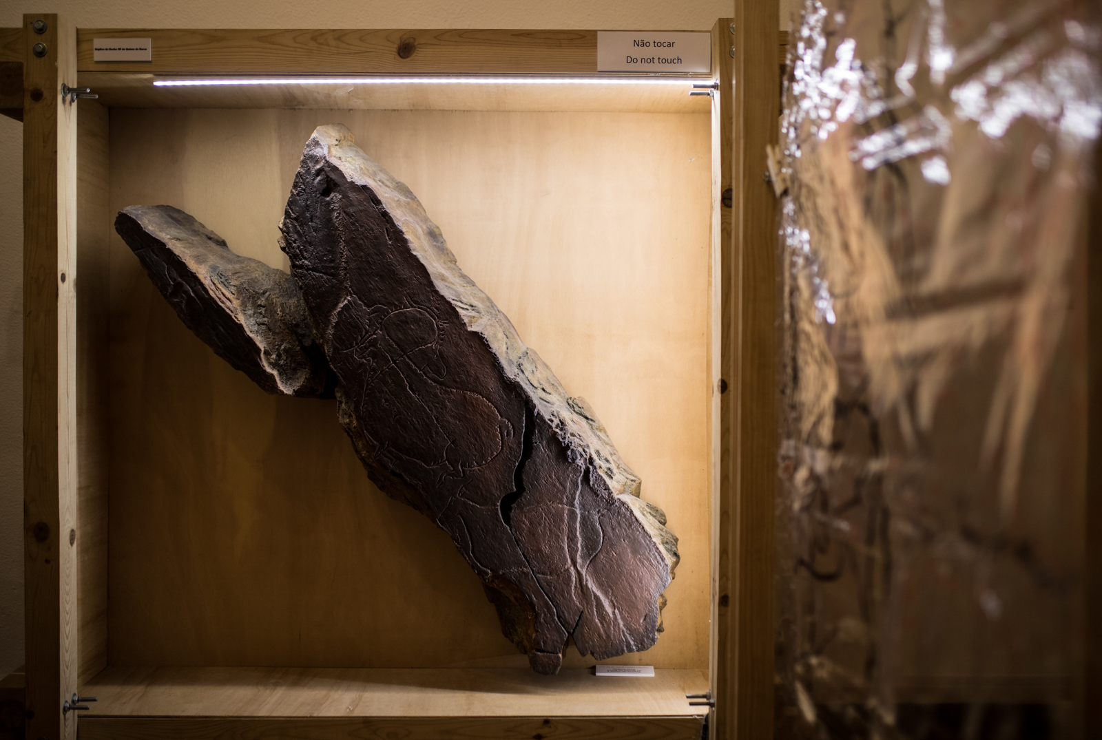 Imagem número 4 da galeria Inauguração Exposição 20(1000) anos do Vale do Coa