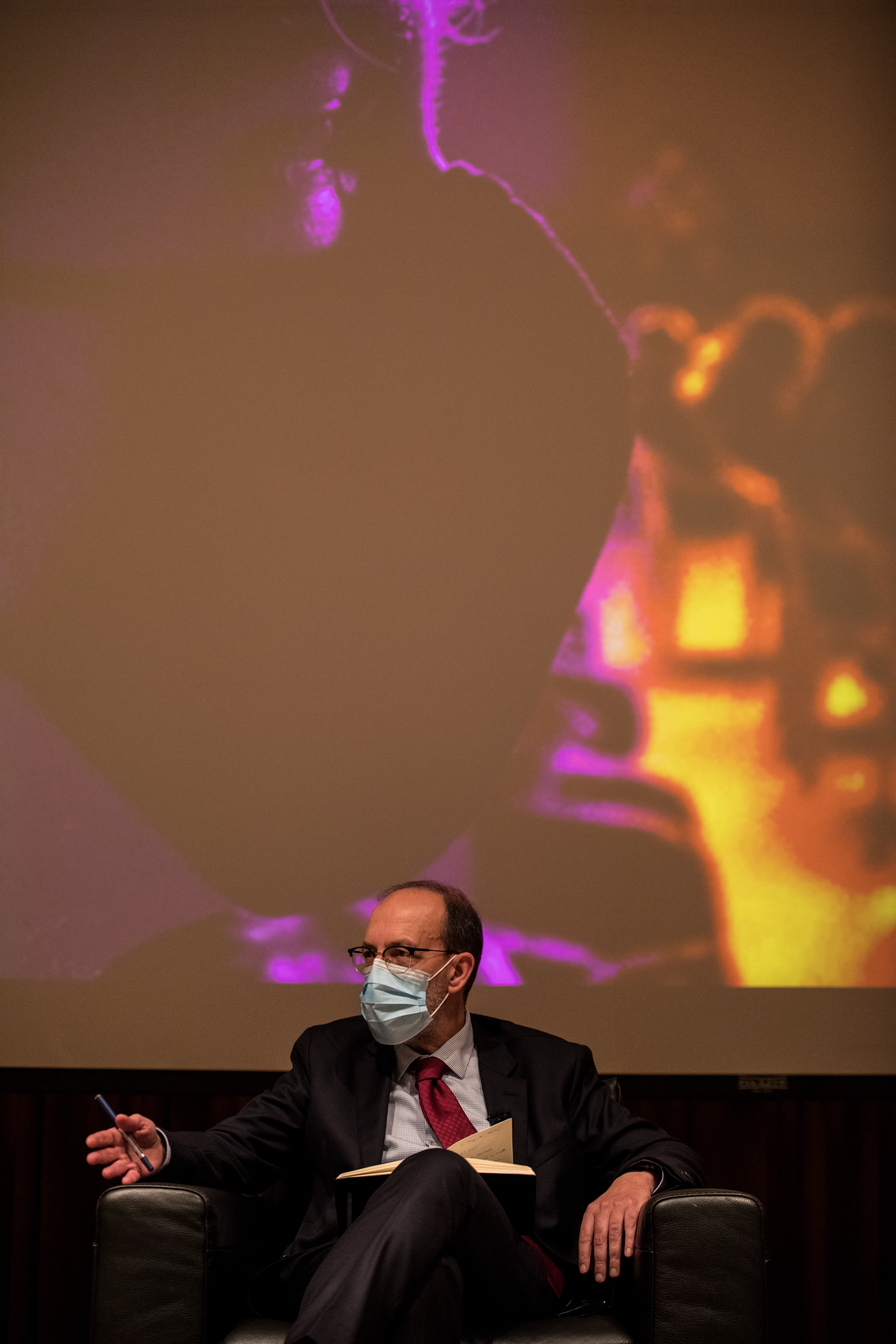 Imagem número 1 da galeria Livro Covid