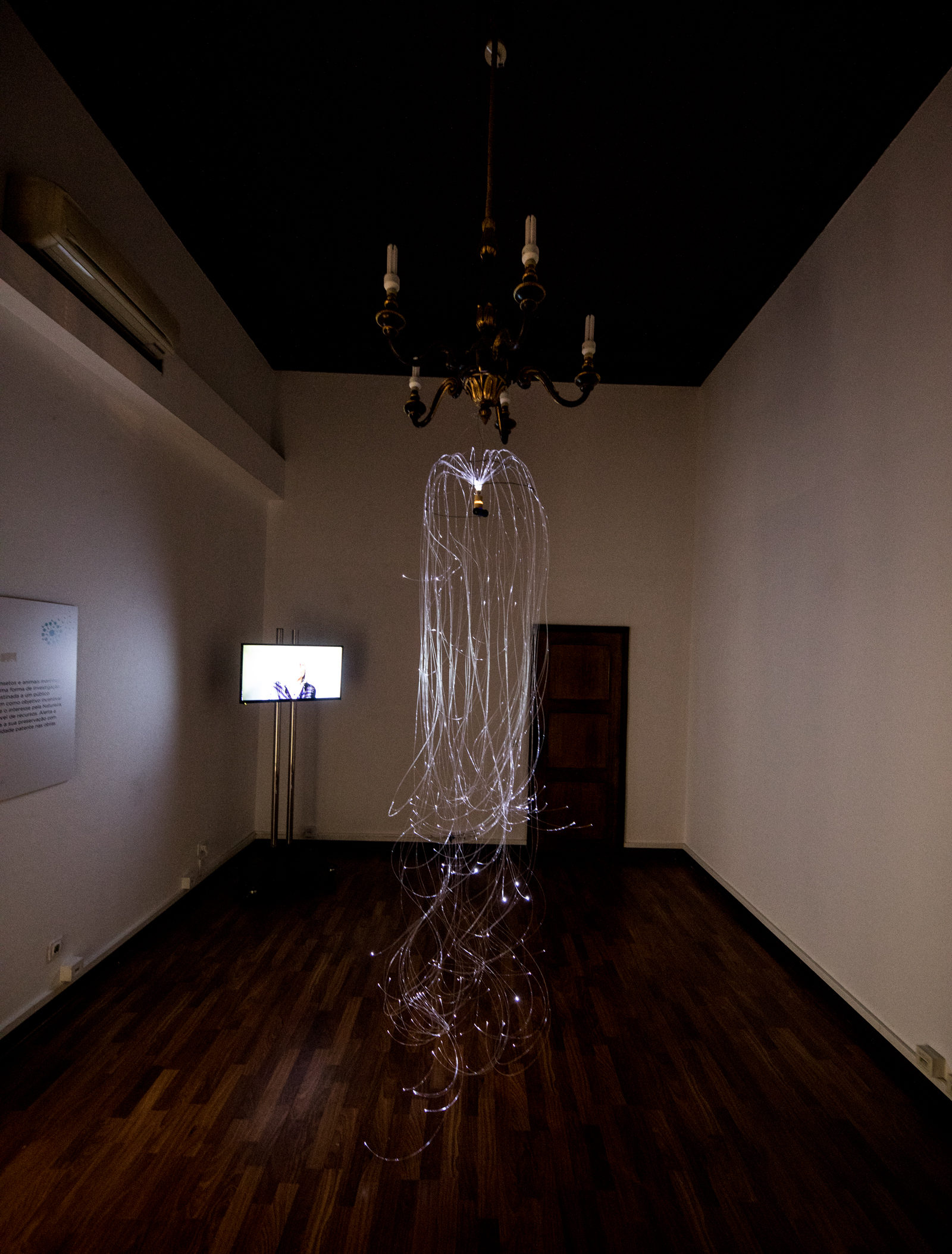 Imagem número 6 da galeria Noite dos Investigadores