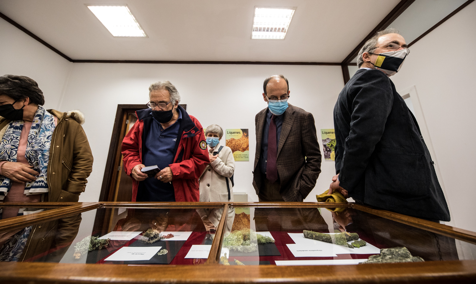 Imagem número 7 da galeria Noite dos Investigadores