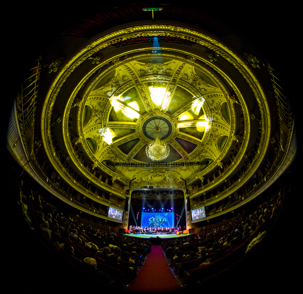 Imagem número 10 da galeria CELTA