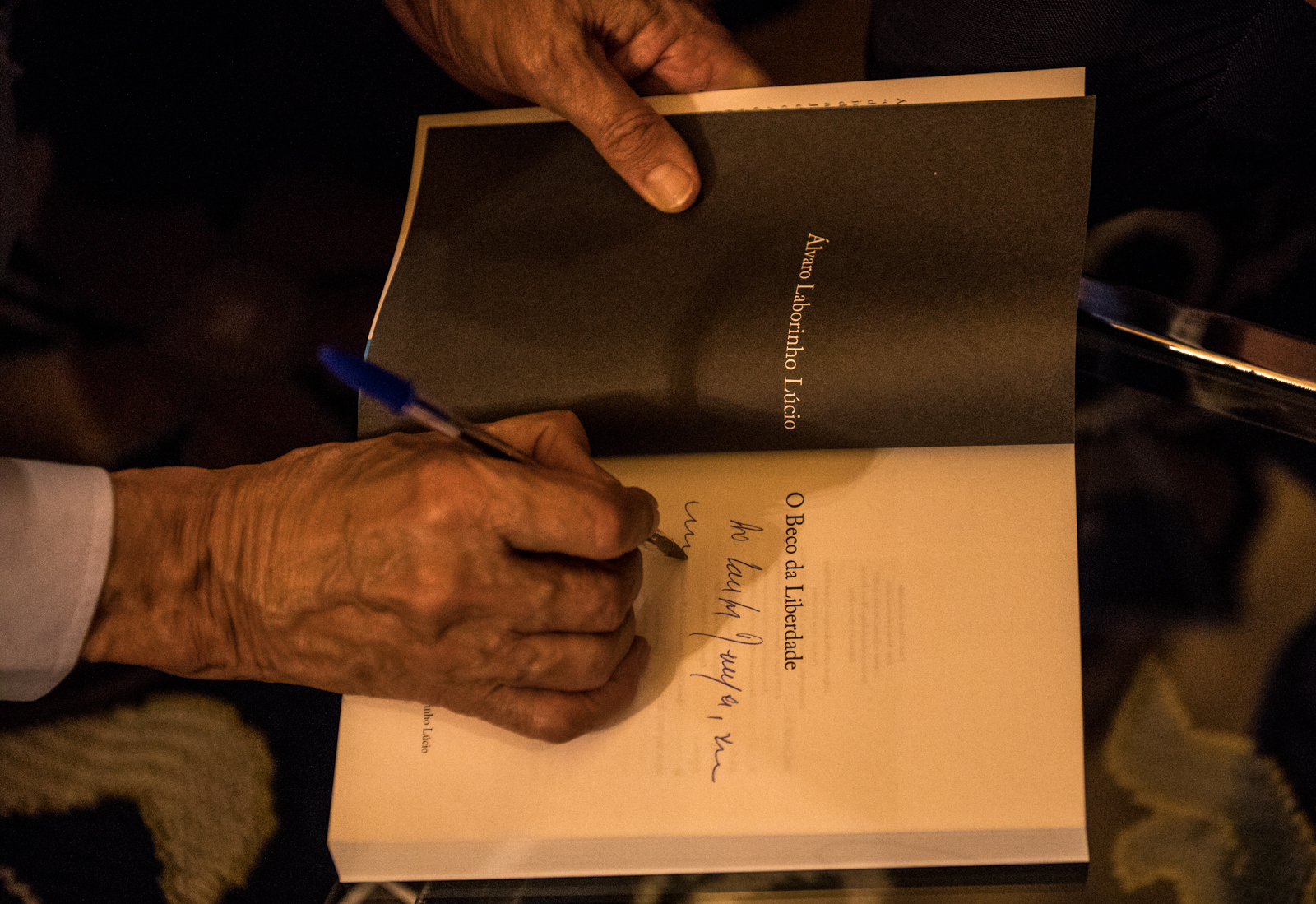 Imagem número 7 da galeria Festival Outono