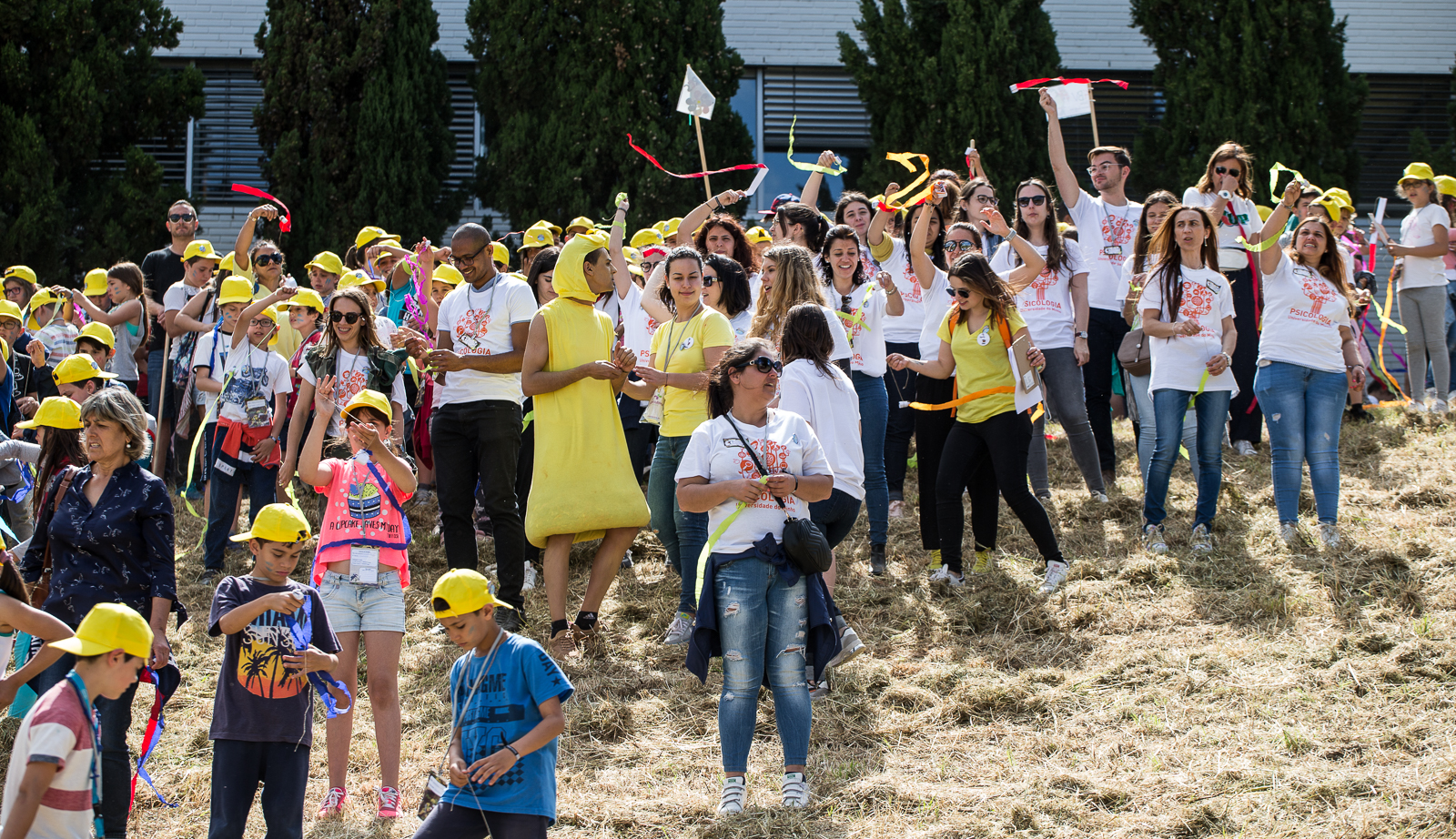 Imagem número 3 da galeria Aventura no Bosque