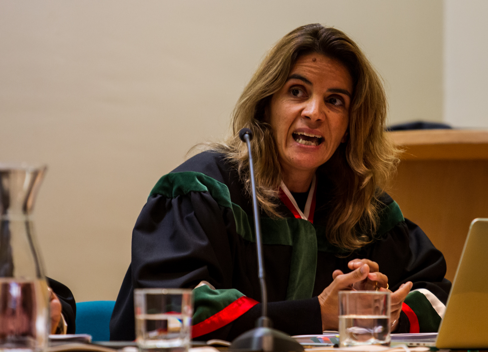 Imagem número 5 da galeria Doutoramento Bosch