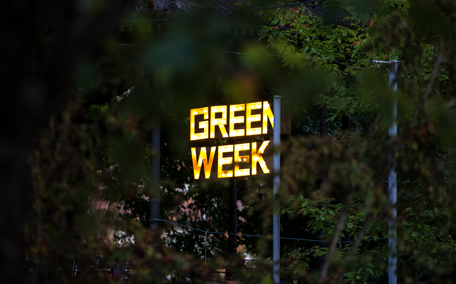 Imagem número 6 da galeria Green Week