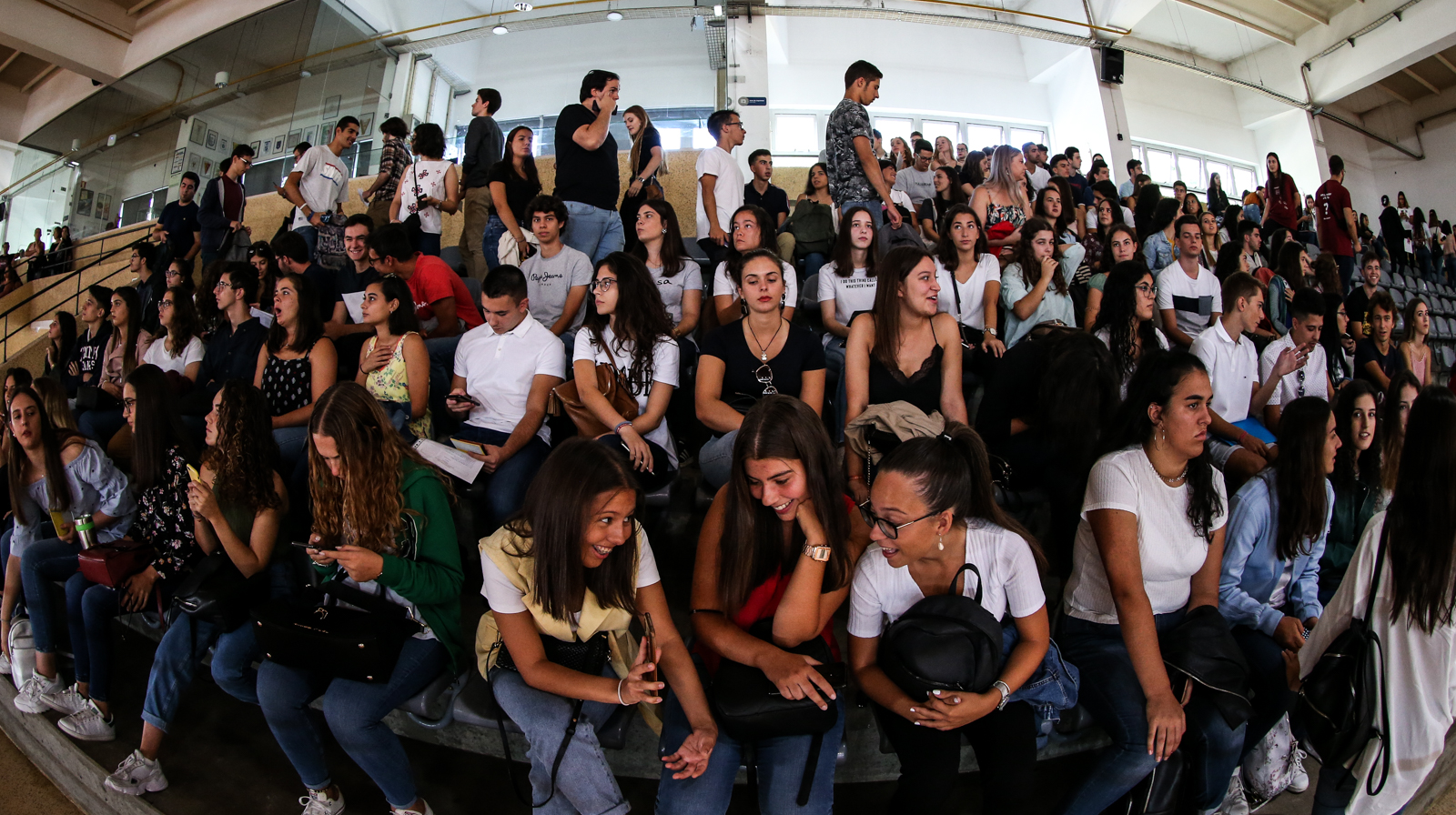 Imagem número 2 da galeria Matriculas