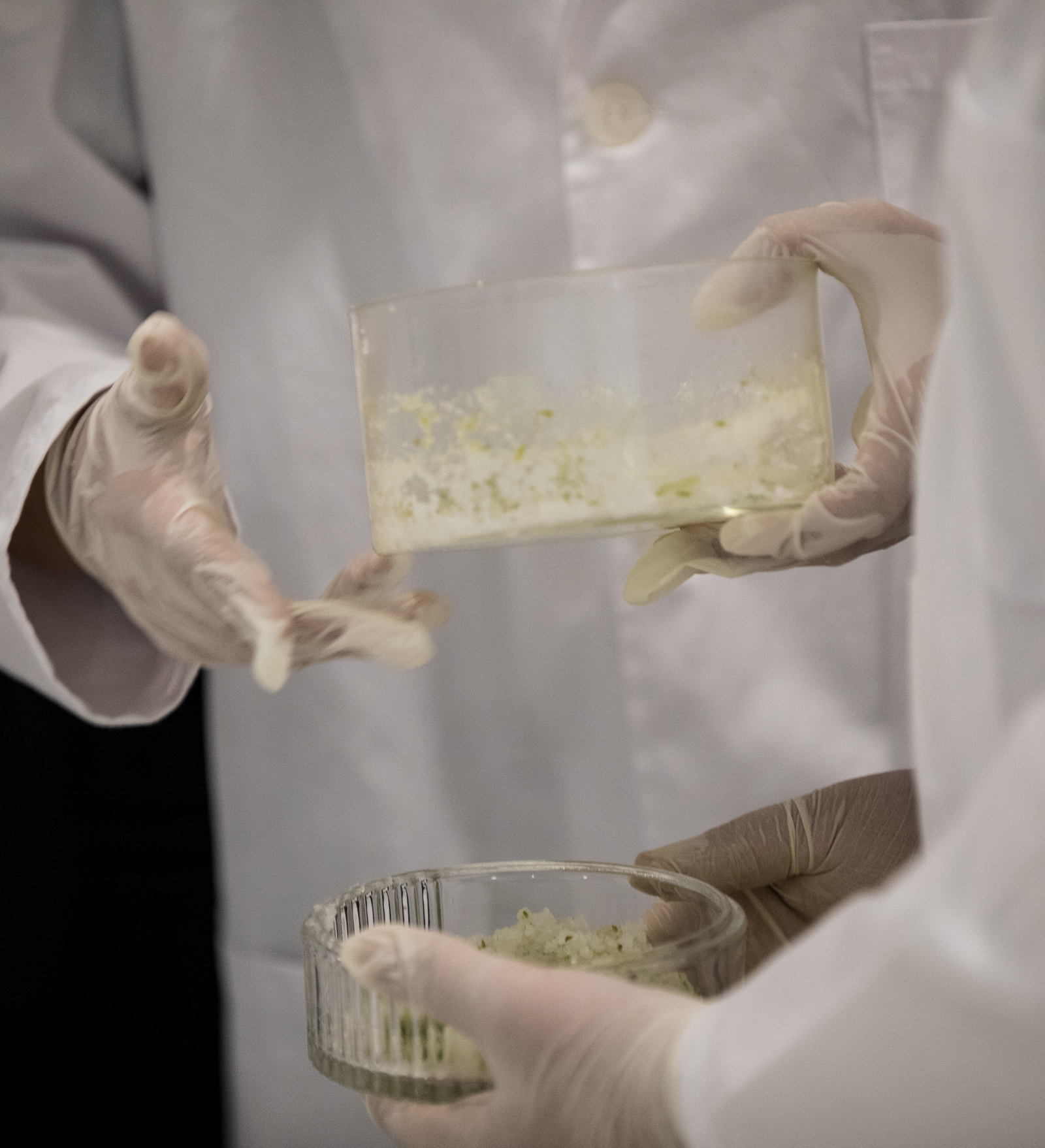 Imagem número 2 da galeria Noite dos Investigadores