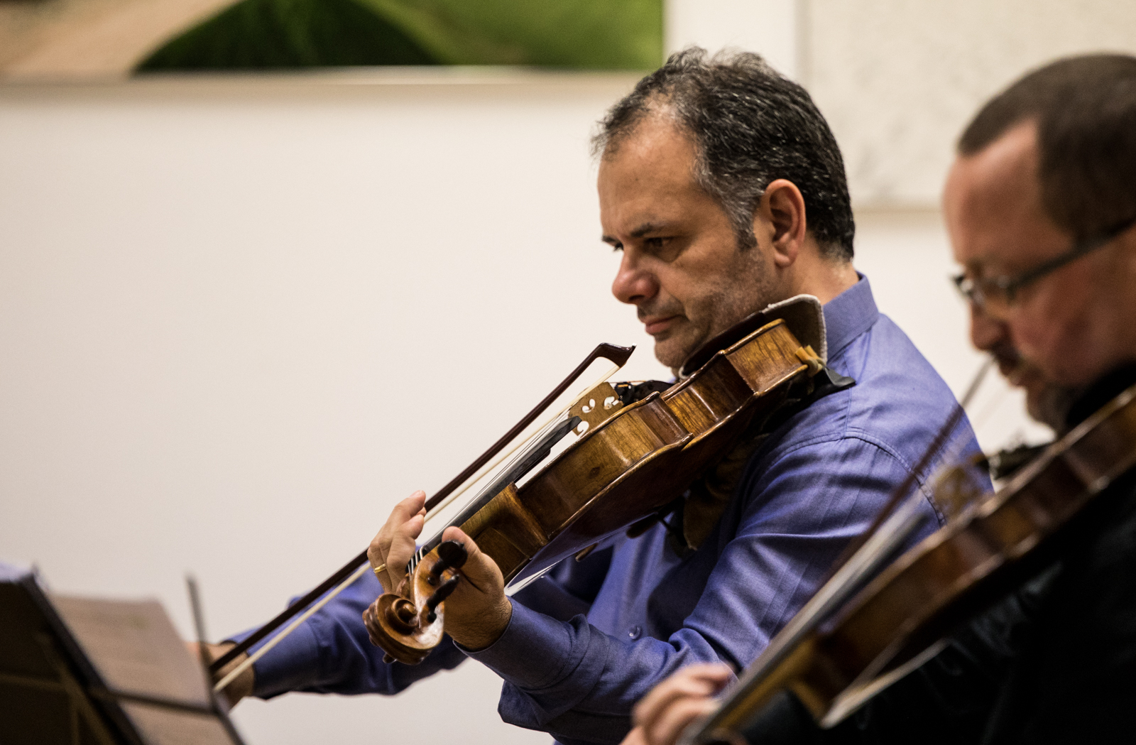 Imagem número 6 da galeria Quartetos de Corda