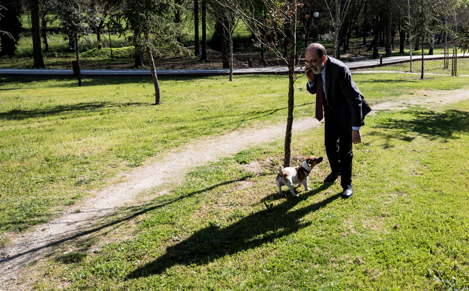 Imagem número 9 da galeria Dia Mundial da Árvore