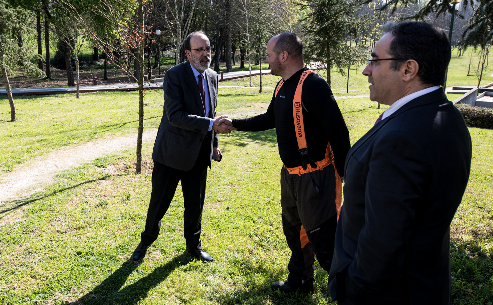 Imagem número 10 da galeria Dia Mundial da Árvore