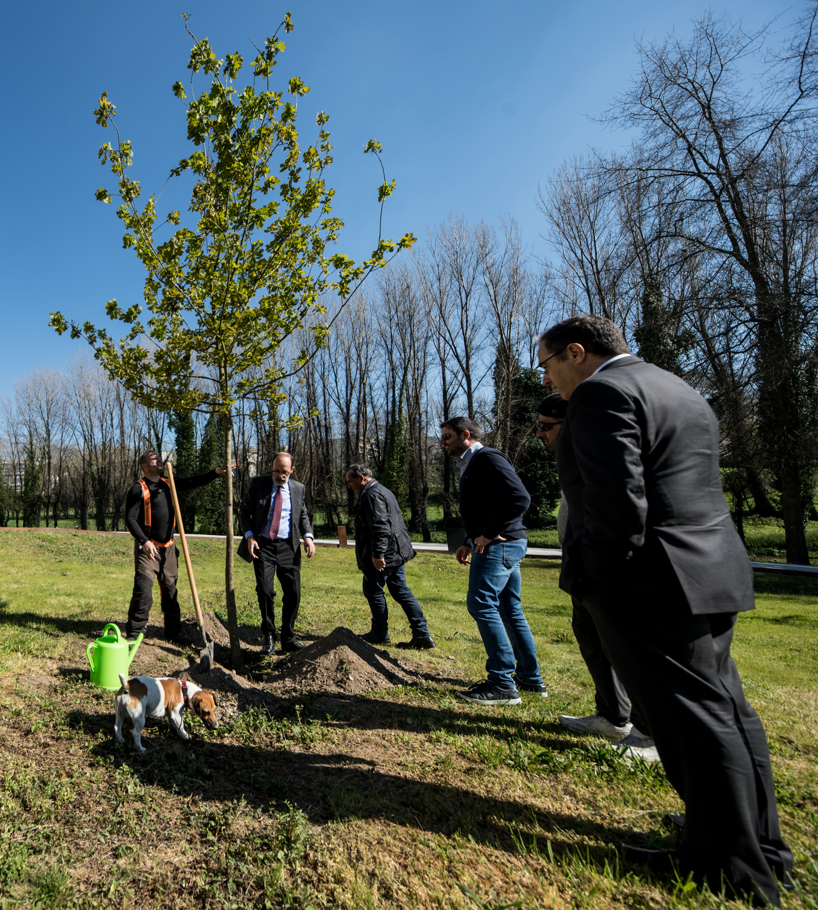 Imagem número 6 da galeria Dia Mundial da Árvore