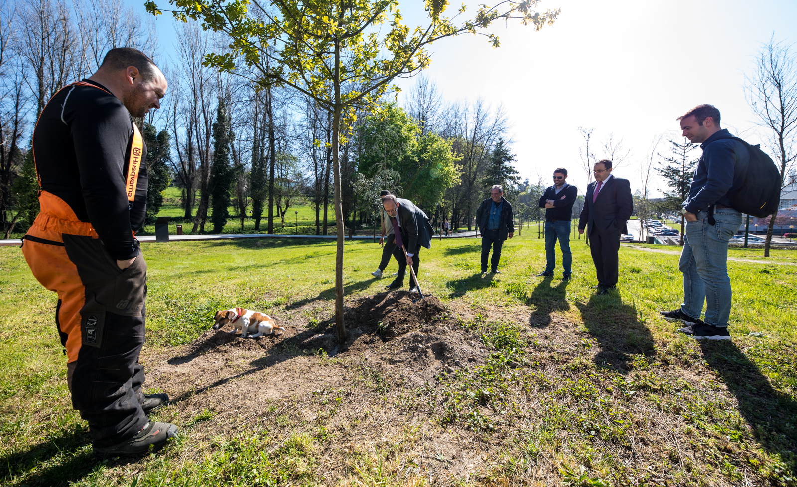 Imagem número 8 da galeria Dia Mundial da Árvore
