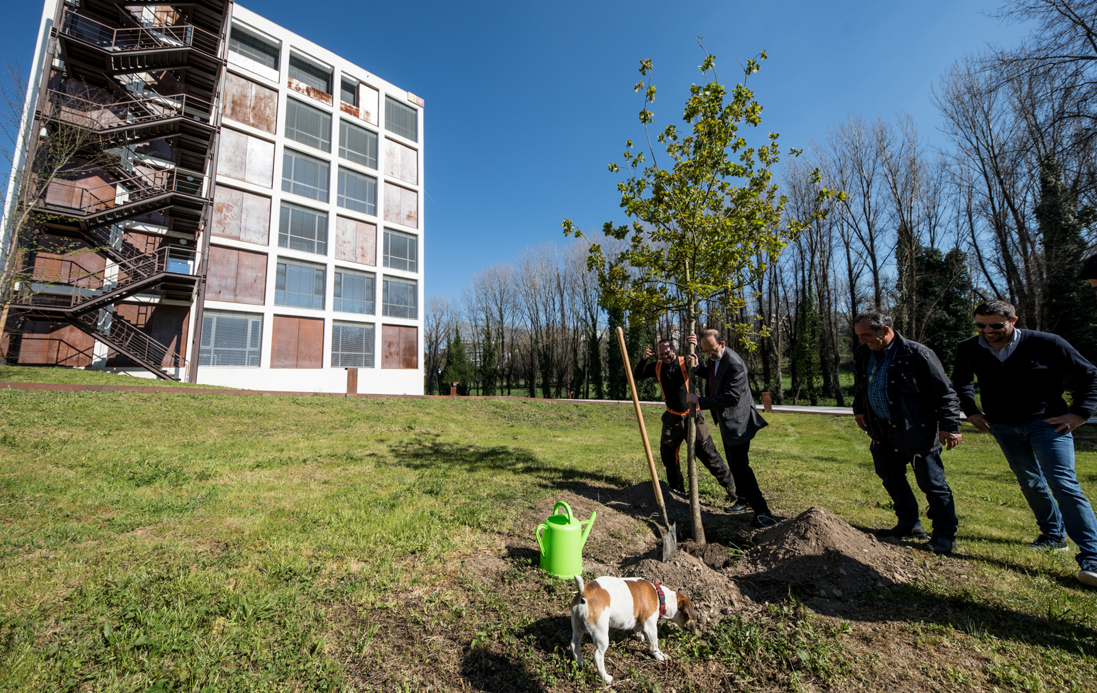 Imagem número 7 da galeria Dia Mundial da Árvore