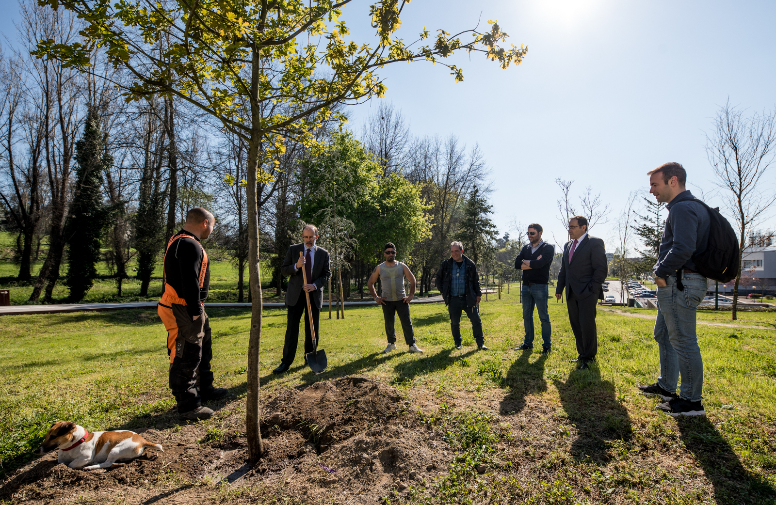 Imagem número 4 da galeria Dia Mundial da Árvore