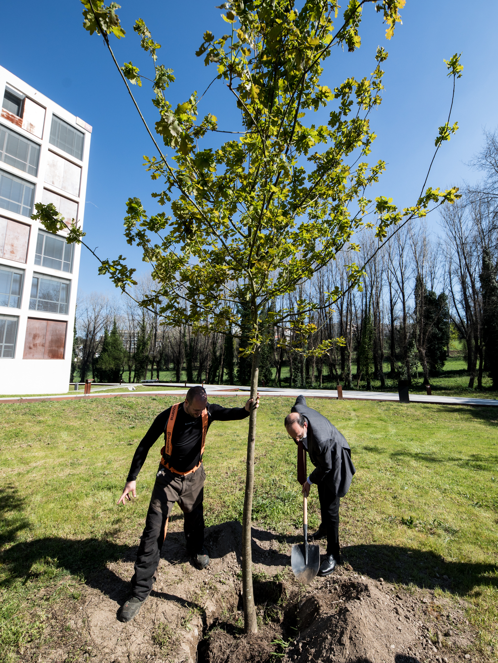 Imagem número 2 da galeria Dia Mundial da Árvore