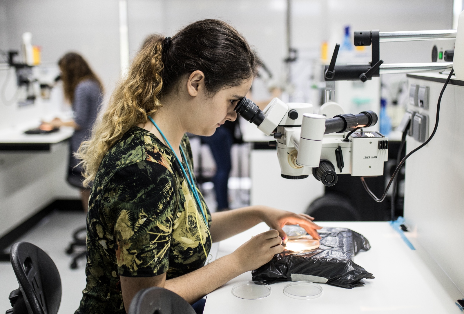 Imagem número 3 da galeria Verão no Campus