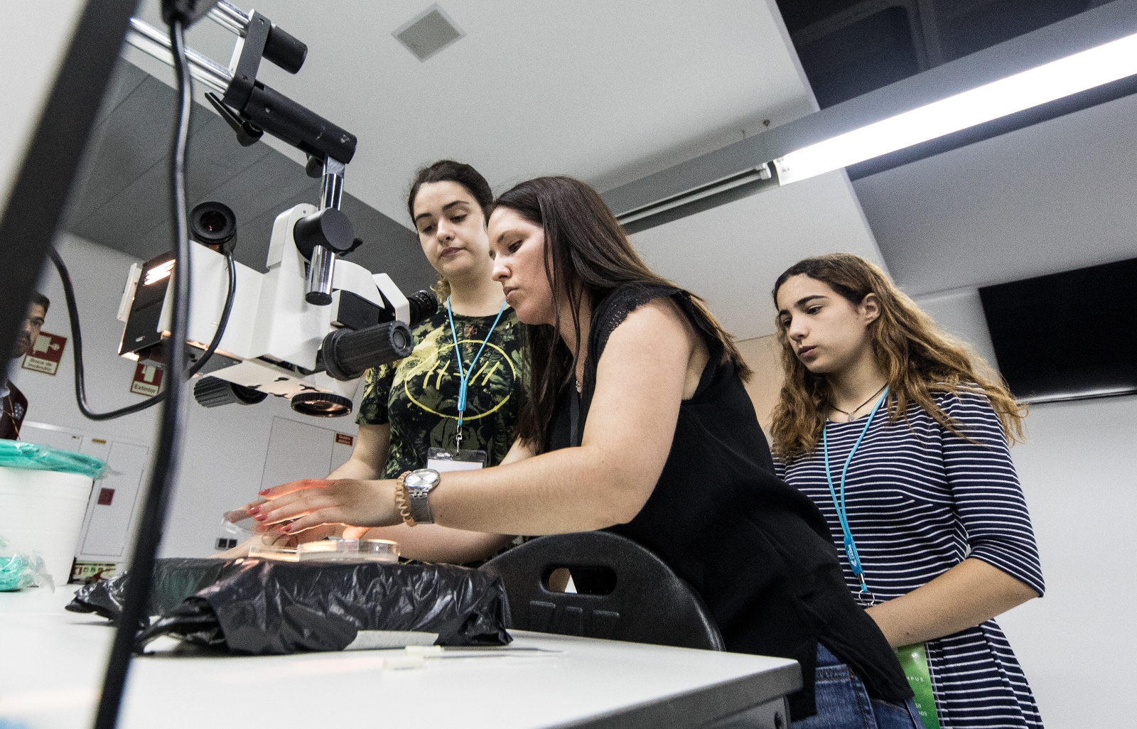 Imagem número 3 da galeria Verão no Campus