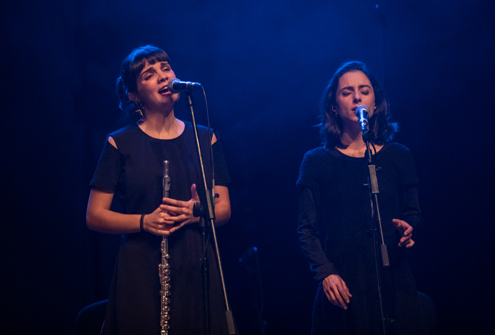 Imagem número 6 da galeria CELTA