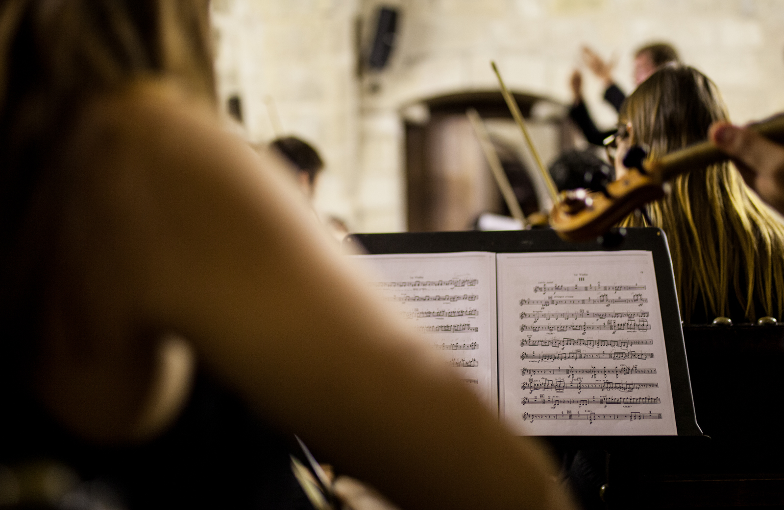 Imagem número 6 da galeria Concerto Outono