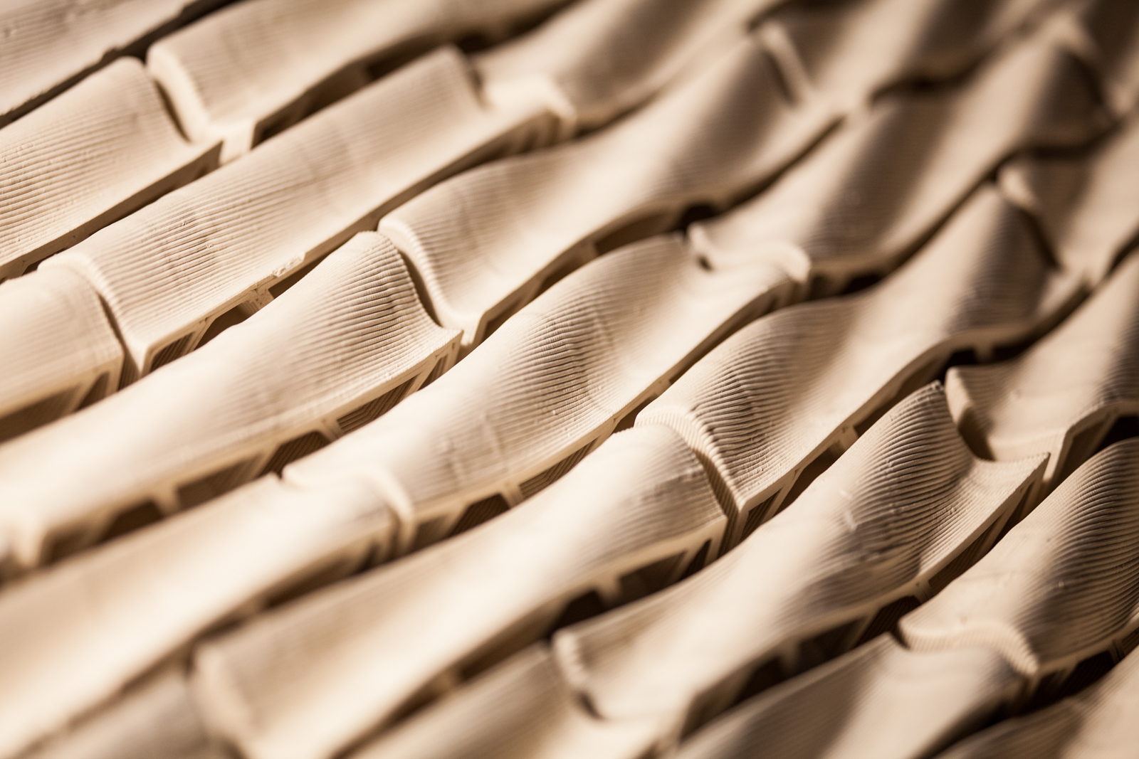 Imagem número 5 da galeria Exposição Arquitectura