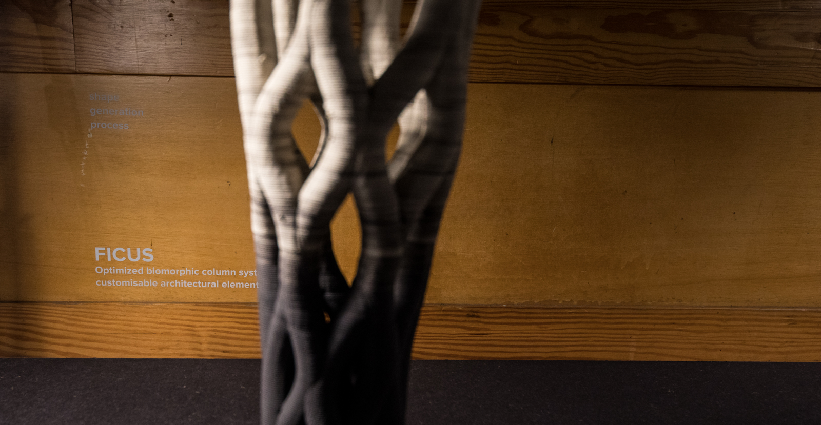 Imagem número 8 da galeria Exposição Arquitectura