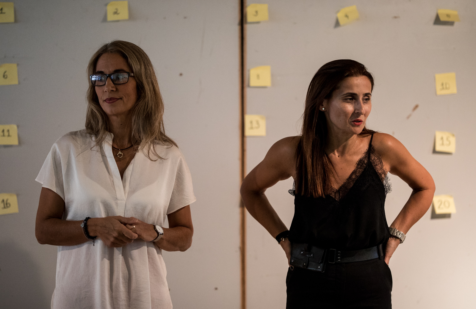 Imagem número 6 da galeria Tutorias por Pares 